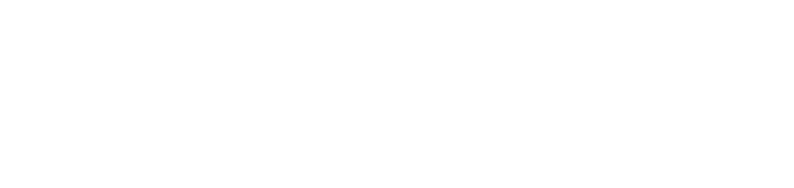 Lisbon Economics